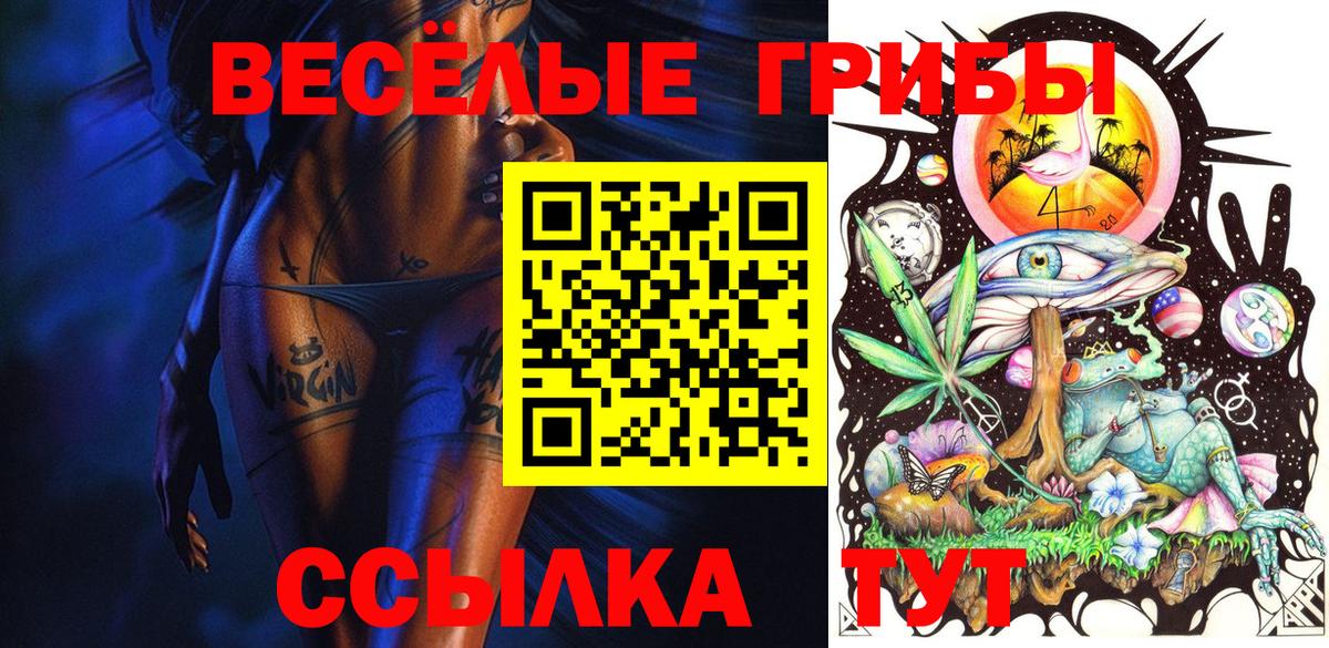 Псилоцибиновые грибы ЛСД Анапа